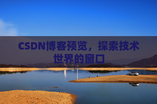 CSDN博客预览，探索技术世界的窗口
